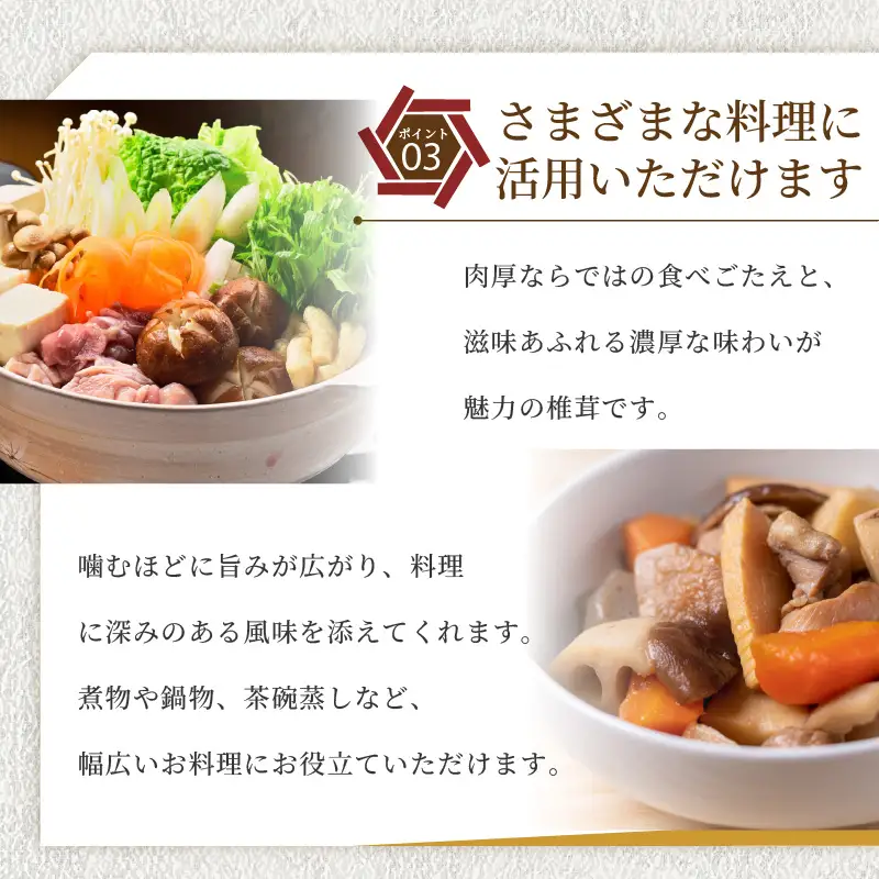 訳あり 乾燥椎茸 「媛子」 240g 炭火焙煎 【2026年11月下旬頃から順次発送】  | ワケアリしいたけ 訳アリ 椎茸 乾燥しいたけ キノコ きのこ ギフト オススメ 愛媛県 松山市 【EIR001】