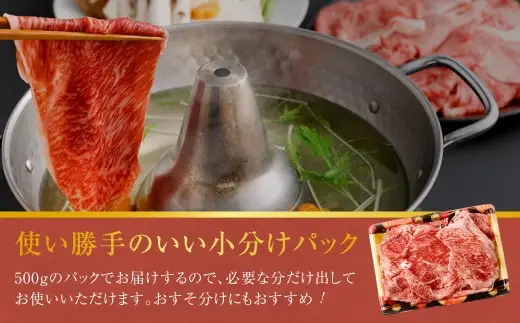 特選赤身切り落とし 2kg （ 500g × 4 ） お肉 肉 にく ニク 牛肉 牛 博多牛 国産 福岡県産 特選 赤身 切り落とし