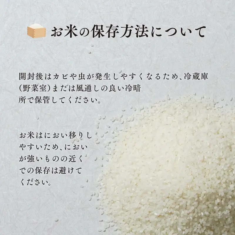 《令和8年度産 先行予約》【数量・期間限定】 井野農園のコシヒカリ お米 ご飯 ごはん おにぎり 