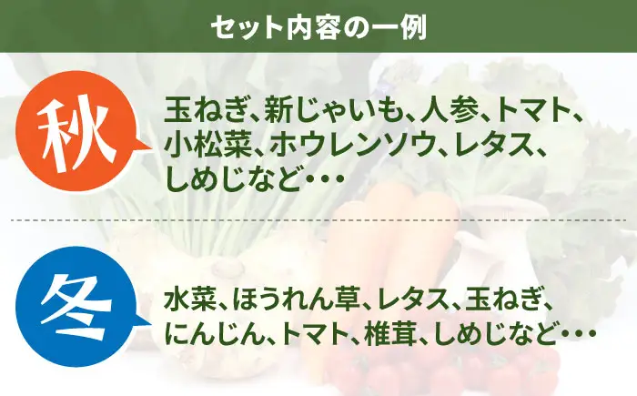 【6回定期便】野菜定期便 8品目 [SCZ029]