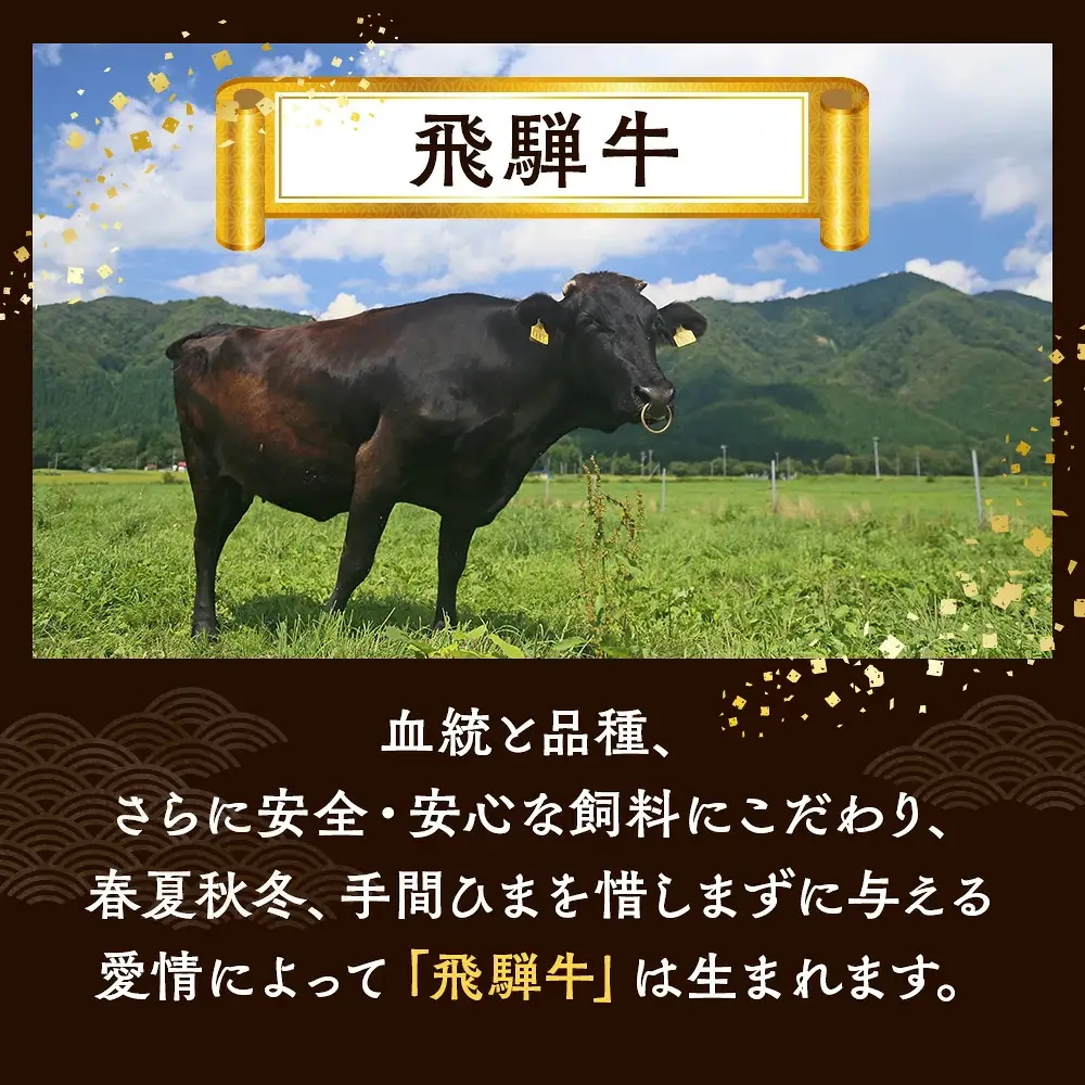 【12ヵ月定期便】飛騨牛 ローススライス（すきやき・しゃぶしゃぶ用）約500g×2（1kg） ※北海道・沖縄・離島への配送不可