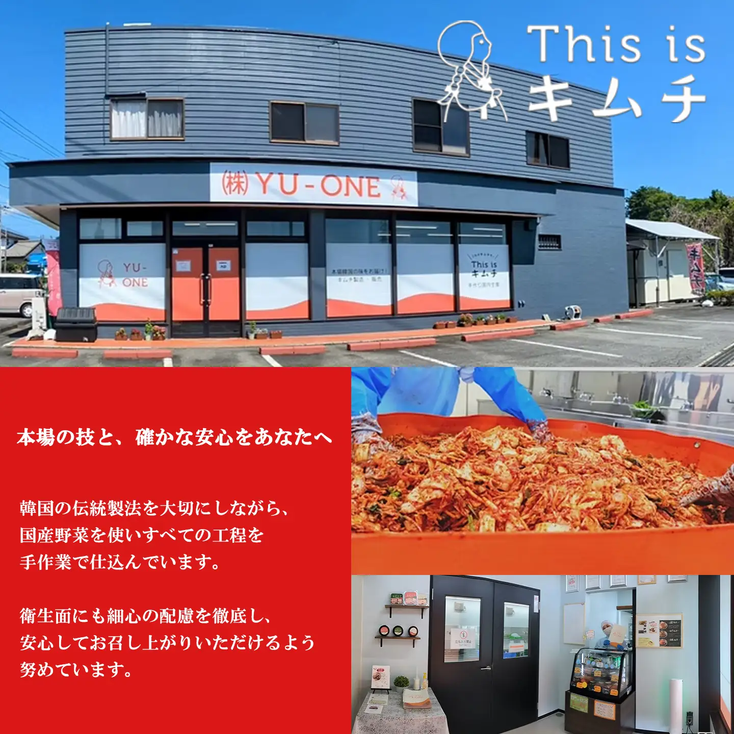 韓国伝統製法 白菜キムチ 200g×3個 キムチ