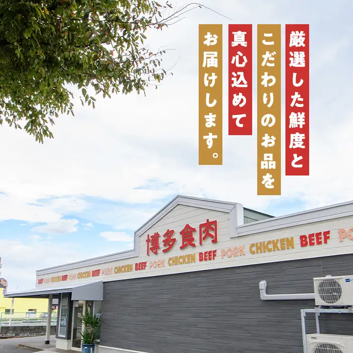 九州産豚肩ロースのチーズ巻(計1kg・250g×4パック) 豚肉 ロース 豚肩 チーズ おつまみ おかず 惣菜 弁当 バーベキュー 手作り 簡単調理 冷凍 下味付き＜離島配送不可＞【ksg1886】【博多食肉】