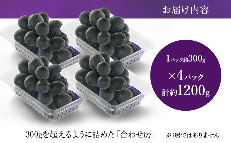 【2026年8月より順次発送】 ピオーネ 約300g×4パック（計約1200g）合わせ房 若手農家応援 ぶどう ブドウ 果物 くだもの 旬のフルーツ 旬の果物 季節のフルーツ 季節の果物 静岡 浜松市