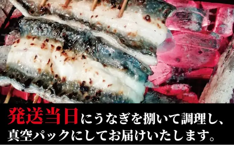 国産 うなぎ蒲焼 140g× 3尾入 〈 国産 うなぎ 蒲焼 レトルト 鰻 ウナギ セット 自家製タレ 山椒付き 炭火 蒸し 関東風 土用 丑の日 ギフト プレゼント 贈り物 贈答 誕生日 父の日 母の日 お歳暮〉