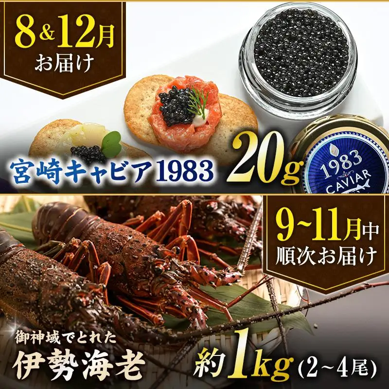 ＜全6回＞宮崎グルメ 定期便 （太陽のタマゴ うなぎ 宮崎牛 キャビア 伊勢海老） 特産品 詰め合わせ