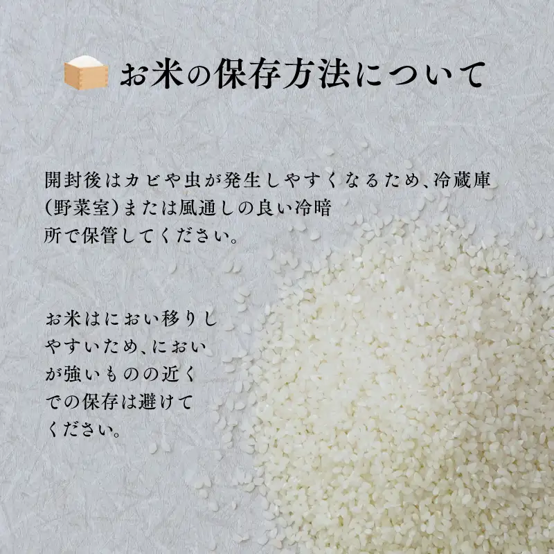 《令和8年度産 先行予約》【数量・期間限定】井野農園のミルキークイーン 米 ご飯 ごはん