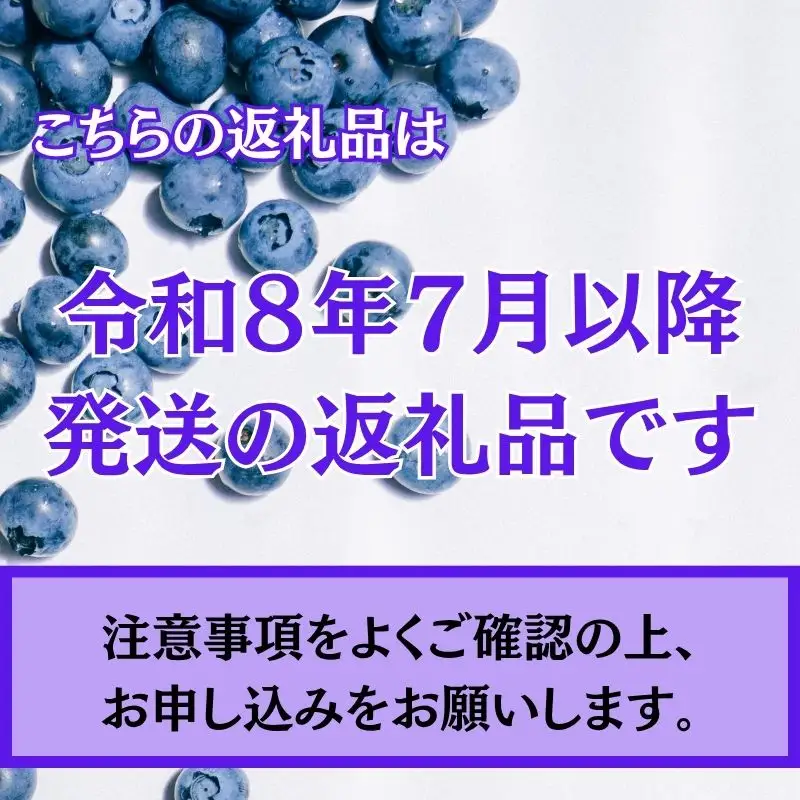 【令和８年分 先行予約】ブルーベリー 2kg 《三茶屋ブルーベリー園》