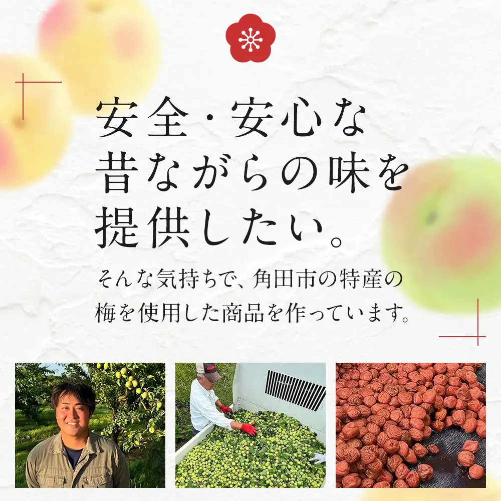 ＜訳あり＞宮城県角田産【無添加】まごころ手作り梅干し1.6kg（800g×2）｜梅干し 田舎の梅干し すっぱい 訳あり 梅干 うめぼし
