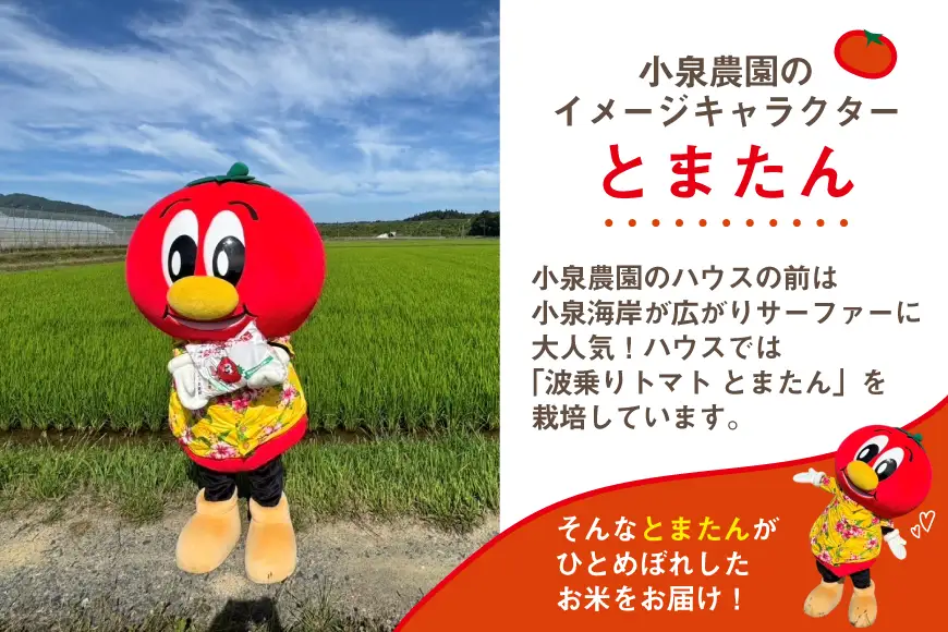 6回 定期便 米 宮城県産 とまたんのひとめぼれ 3kg 総計18kg [サンフレッシュ小泉農園 宮城県 気仙沼市 20566083]