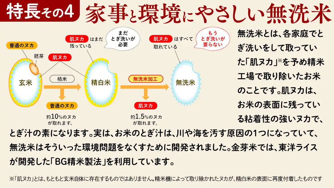 【 金芽米 ( 無洗米 ) 】 ＜7月下期出荷＞ つくばみらい市産 コシヒカリ 5kg × 2袋 ( 計 10kg )