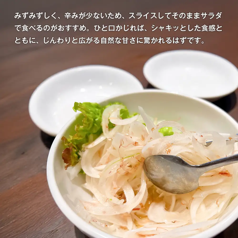 新玉ねぎ 自然栽培 4.5kg 玉ねぎ