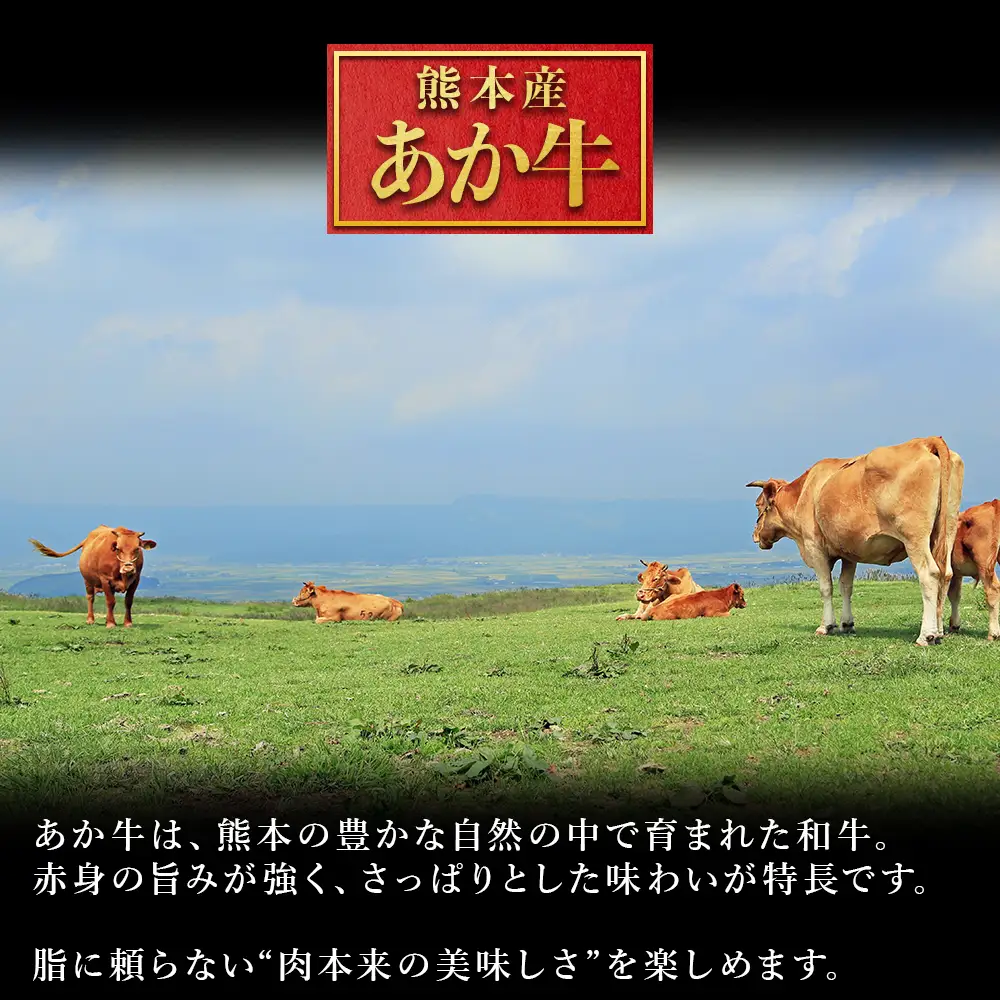 【ふるさと納税】 熊本産 あか牛 ハンバーグベース 1kg 生ハンバーグ ハンバーグベース ハンバーグのタネ 冷凍 国産牛 赤身 アレンジ自在 おかず 熊本県 水上村