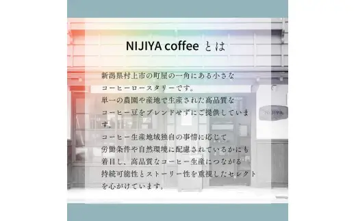 【定期便：12ヶ月連続でお届け】シングルオリジンコーヒー 100g × 3品種（中挽き）計300g×12ヶ月 1075029 コーヒー 珈琲 粉