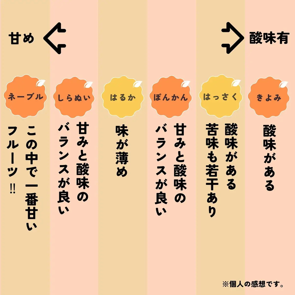 和歌山 有田 はっさく 5kg