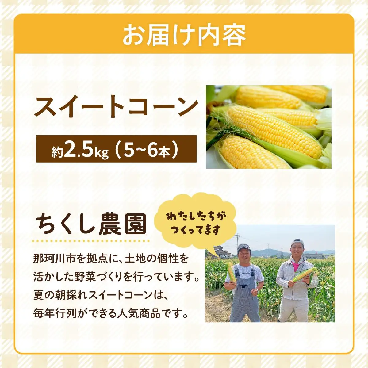 【先行予約】朝採れ スイートコーン 約2.5kg（5～6本入り）2026年5月末より発送