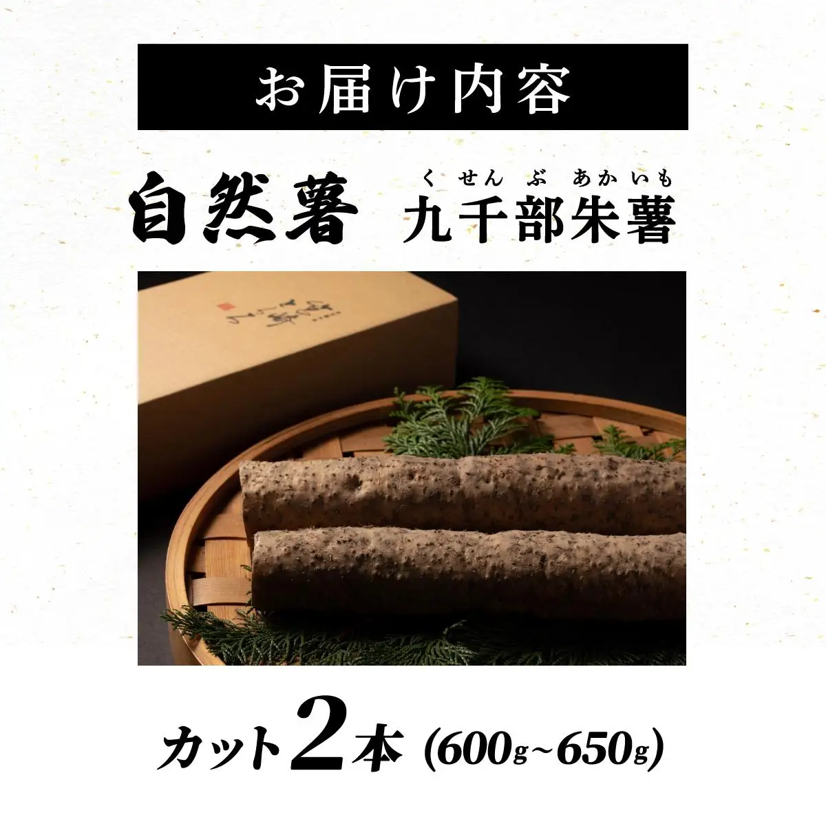 【先行予約】自然薯「九千部朱薯」600g～650g（2本）