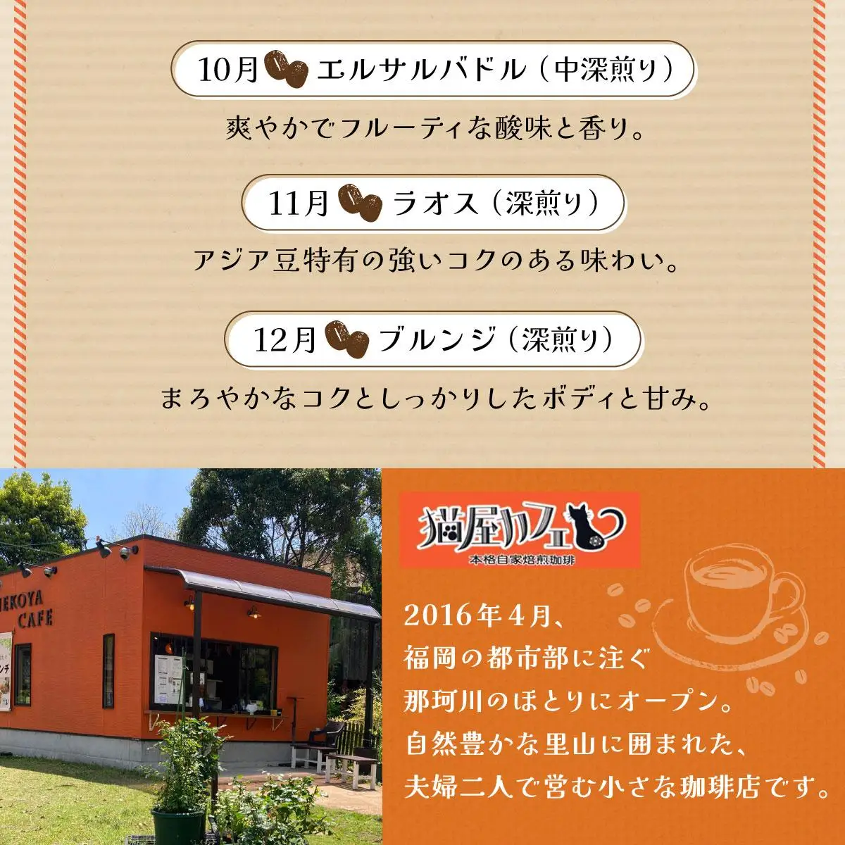 ＜定期便・全12回＞世界を夢見るコーヒー【豆】500g