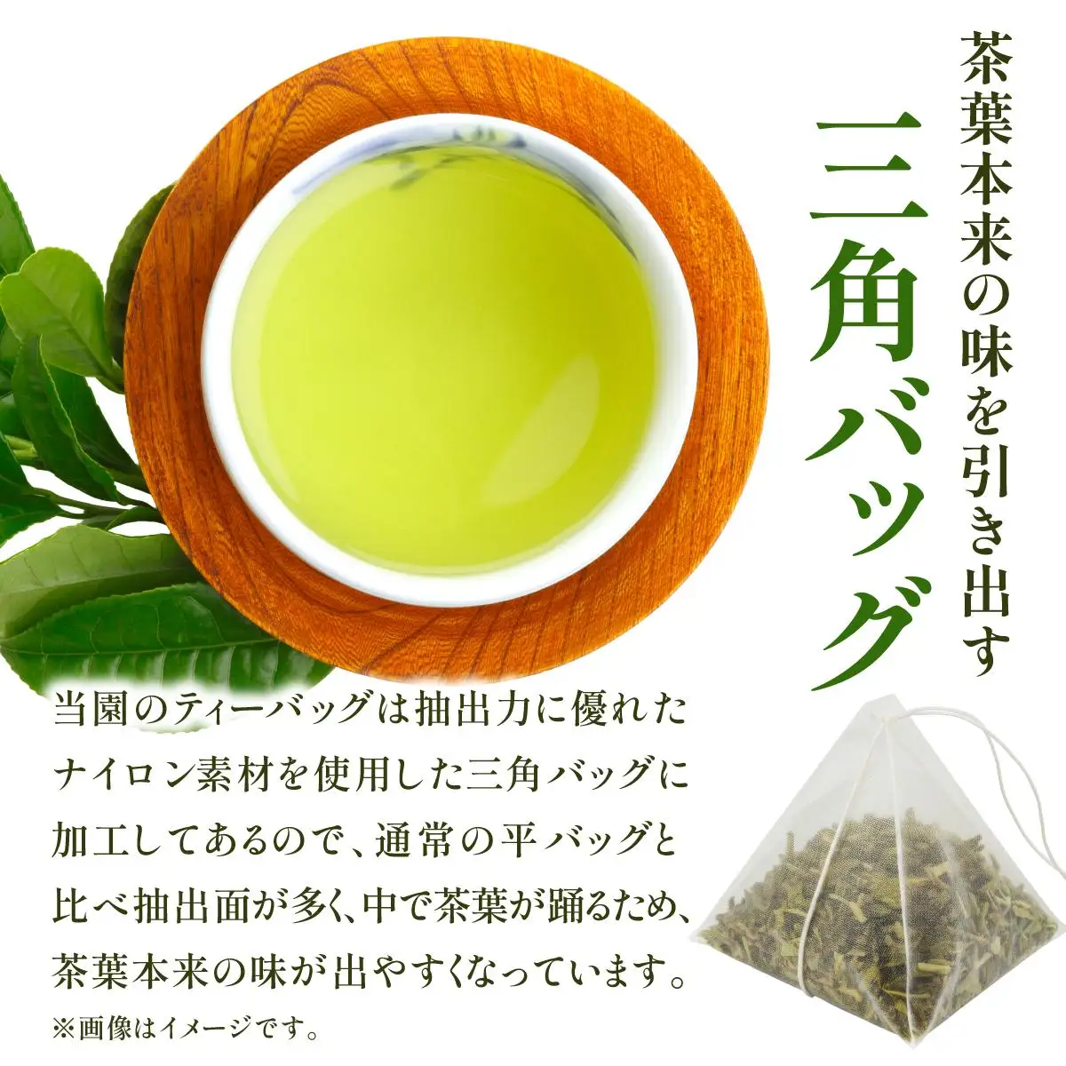 産地直送！八女茶 中島製茶本舗 煎茶 ティーバッグ 100パック