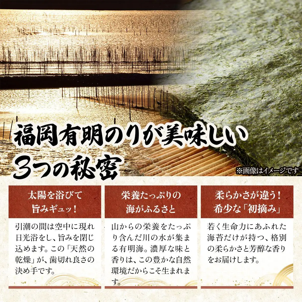 【7営業日以内発送】『訳あり』福岡有明のり 竹 焼き海苔 全形20枚
