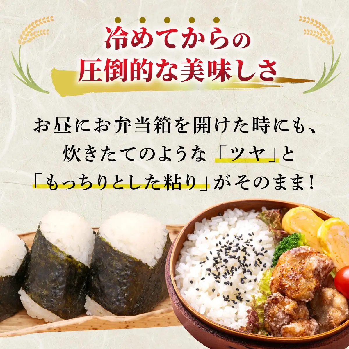 元気つくし 白米5kg
