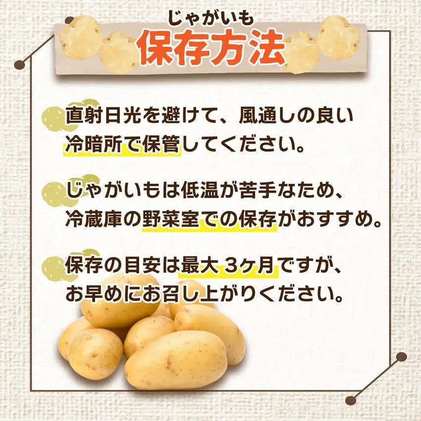 ＜先行予約＞北海道産 じゃがいも(とうや) 約10kg【hjf-004】