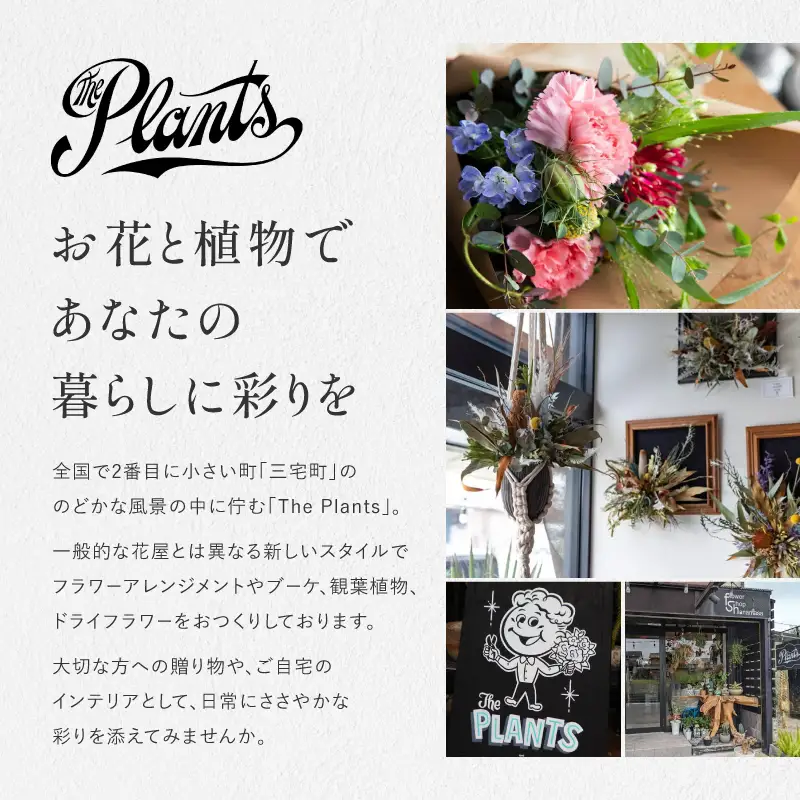 花 ふるさと定期便 3回 お届け 三宅町に住む家族へ 花束 ギフト The Plants:スタンダード