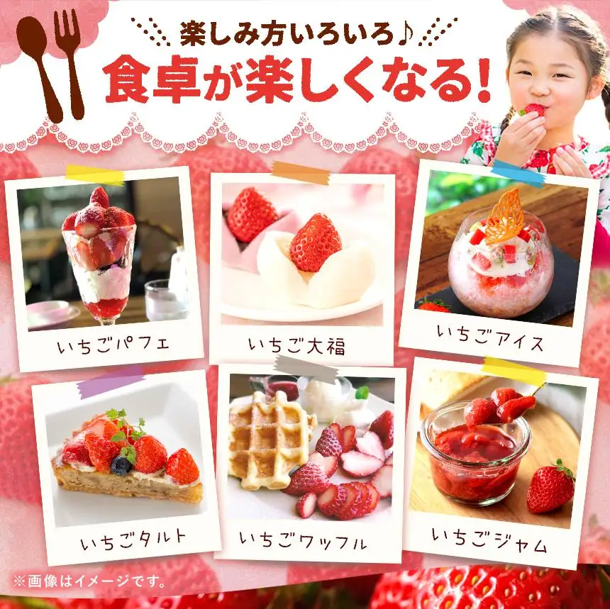 2027年 先行予約受付中！【定期便3回】最旬とちあいか 1kg以上 |  栃木県共通返礼品 いちご 人気 デザート 栃木県 矢板市