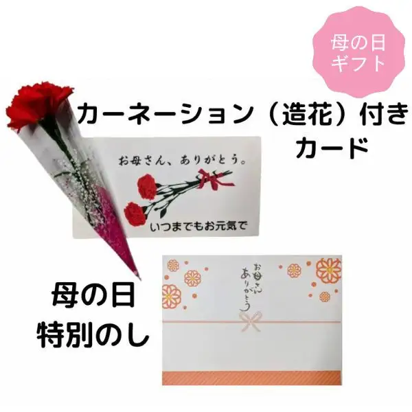 ＜5/6まで 母の日ギフト＞【京の魚匠 ぼんち】〈別格の味わい〉特選銀だら西京漬け4切れ詰め合わせ