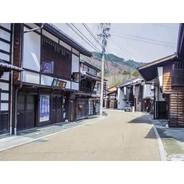 箸 色亀甲 ペア 【箱入り】