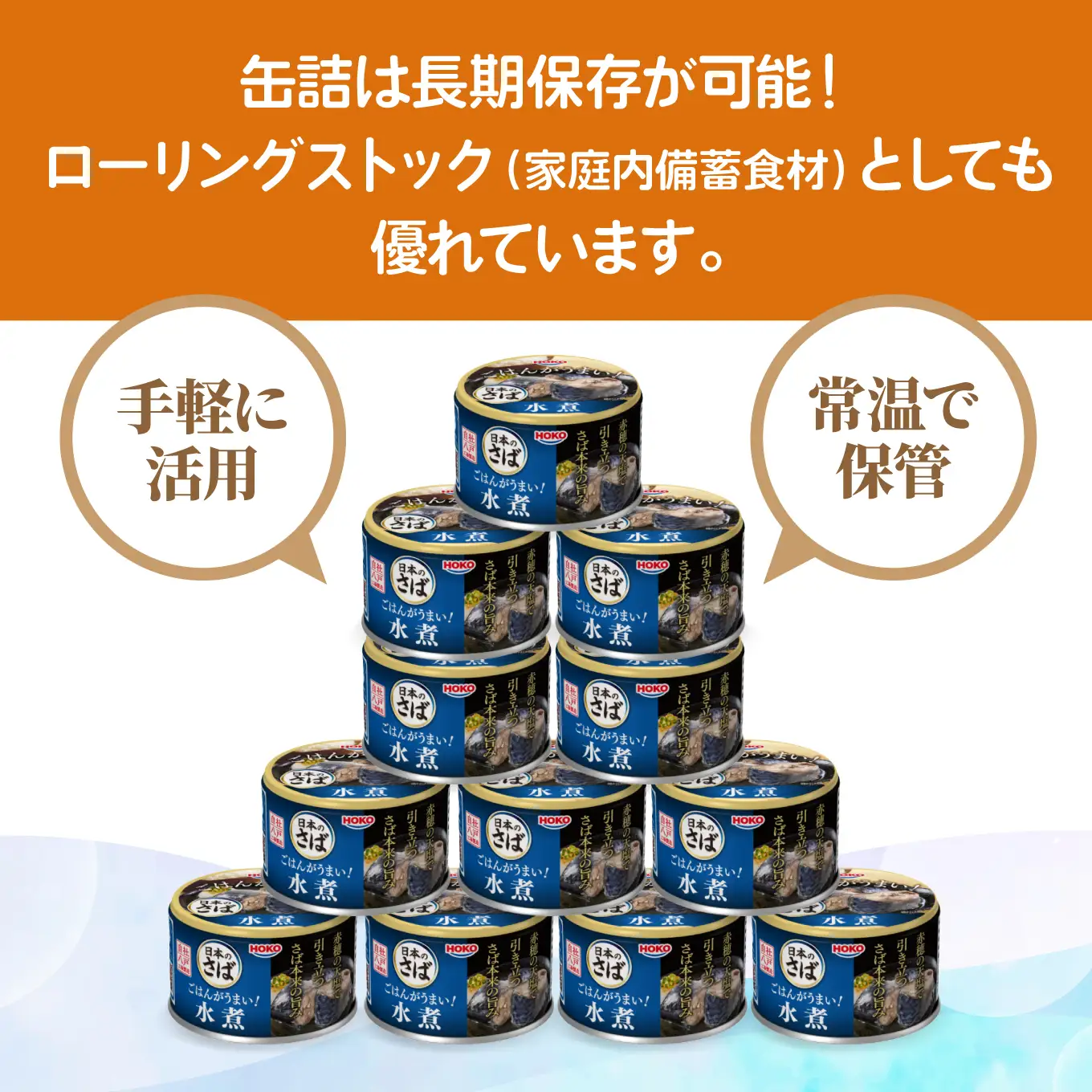 ごはんがうまい！日本のさば缶 水煮 150gx12缶　HOKO 宝幸　青森県 八戸市