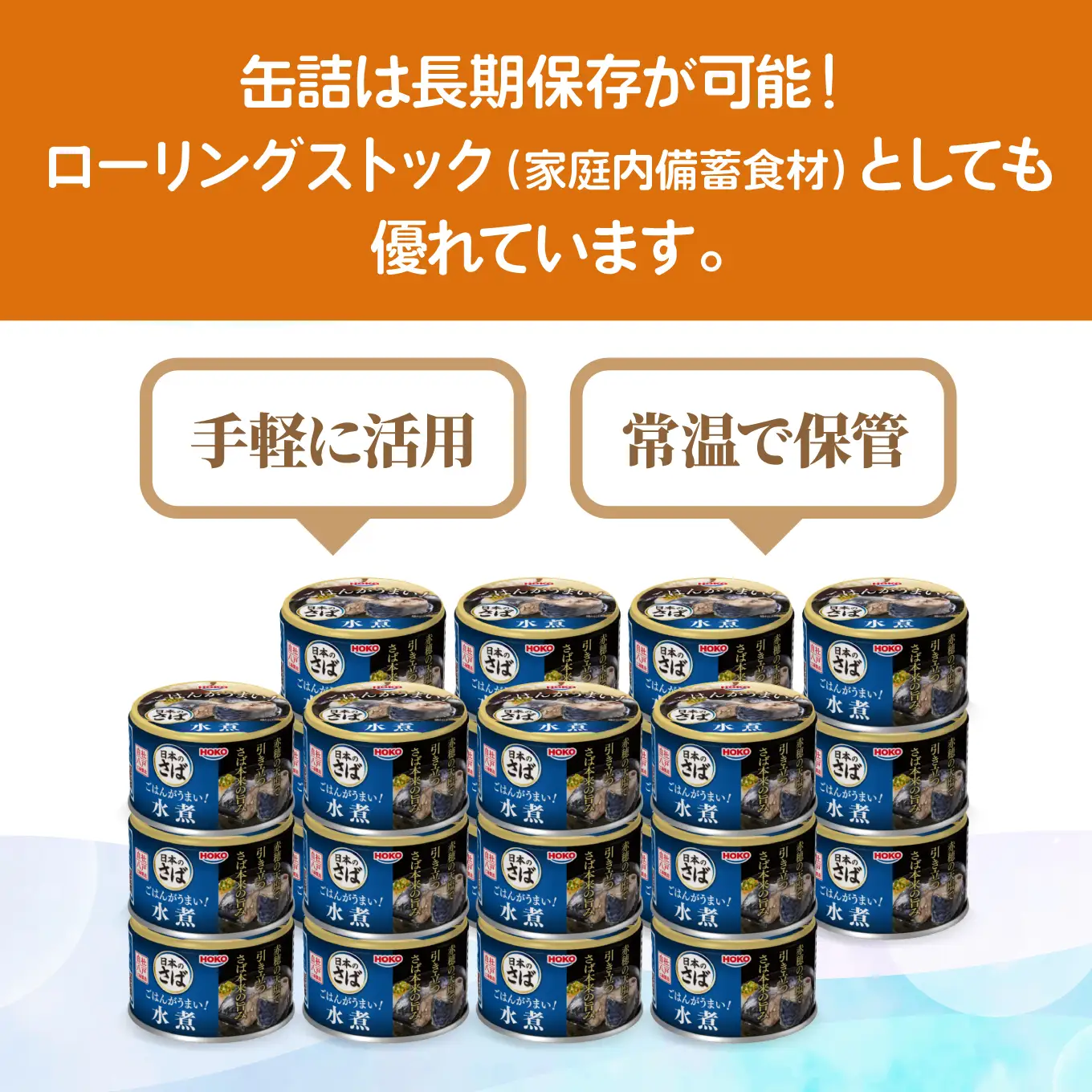 ごはんがうまい！日本のさば缶 水煮 150gx24缶　HOKO 宝幸　青森県 八戸市
