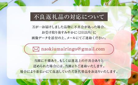 7月下旬～8月中旬 飛騨桃 約2.7kg（9～11個）| 桃 山本果樹園 MA013