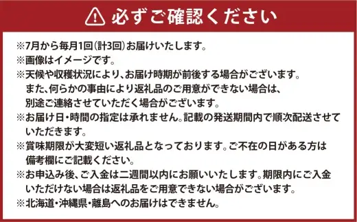 【 全3回定期便 】 岡山県産 フルーツ定期便 ＜ お一人様向け ＞ 白桃 ニューピオーネ シャインマスカット 晴王 果物 くだもの 果実 フルーツ 国産 ぶどう ブドウ 葡萄 もも 桃 モモ 梨 なし ナシ 化粧箱 【 2026年7月上旬～9月下旬迄発送予定 】