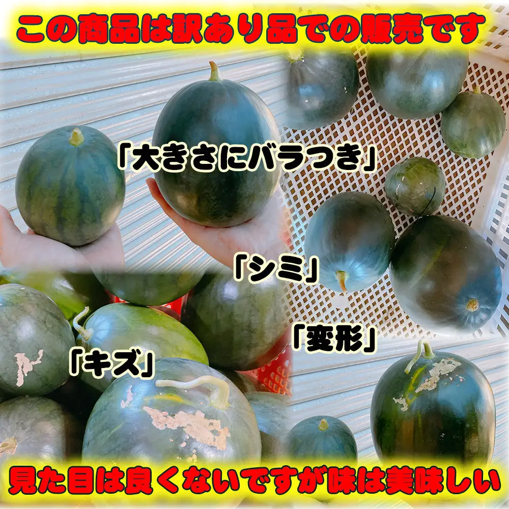 【先行予約】黒皮小玉スイカ 訳あり 鳥取県北栄町産 農家指定（こちらの返礼品は、大栄西瓜ではありません） スイカ