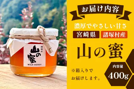 はちみつ 山の蜜 400g×1本 冷蔵｜国産 蜂蜜 百花蜜 ニホンミツバチ 希少 自然養蜂 瓶 もろっこはうす 宮崎県 諸塚村 MO-02