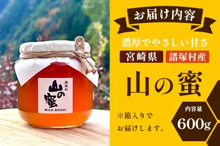はちみつ 山の蜜 600g×1本 冷蔵｜国産 蜂蜜 百花蜜 ニホンミツバチ 希少 自然養蜂 瓶 もろっこはうす 宮崎県 諸塚村 MO-03