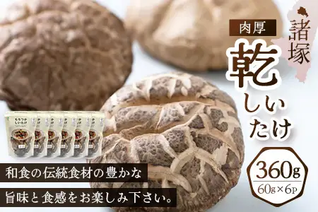 【世界初CoC認証取得！】宮崎県諸塚村産 乾しいたけ 肉厚 60g×6P 計360g 常温｜干ししいたけ どんこ 椎茸 冬菇 肉厚 お煮しめ お鍋 網焼き 原木栽培 家庭用 もろっこはうす MO-23