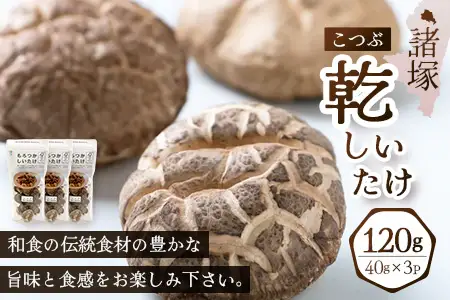【世界初CoC認証取得！】宮崎県諸塚村産 乾しいたけ こつぶ 40g×3P 計120g 常温｜干ししいたけ どんこ 椎茸 冬菇 一口サイズ 酢漬け 手まり寿司 天ぷら 原木栽培 家庭用 もろっこはうす MO-24