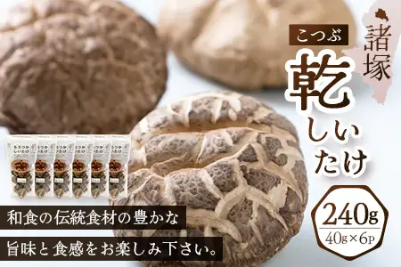 【世界初CoC認証取得！】宮崎県諸塚村産 乾しいたけ こつぶ 40g×6P 計240g 常温｜干ししいたけ どんこ 椎茸 冬菇 酢漬け 手まり寿司 天ぷら 一口サイズ 原木栽培 家庭用 もろっこはうす MO-25