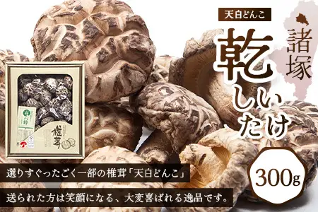 宮崎県諸塚村産 天白どんこ 約300g 化粧箱入り 常温｜干ししいたけ 椎茸 冬菇 肉厚 お煮しめ お鍋 網焼き 原木栽培 CoC認証 高級 希少 もろっこはうす MO-28