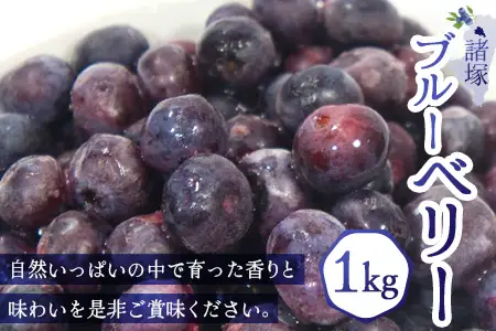 【数量限定】諸塚村産 冷凍ブルーベリー 約1kg｜ブルーベリー 果物 フルーツ 産地直送 スムージー ヨーグルト もろっこはうす 宮崎県 諸塚村 MO-34