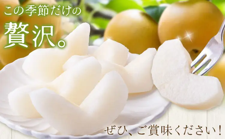 先行予約 旬の梨 約4kg 梨