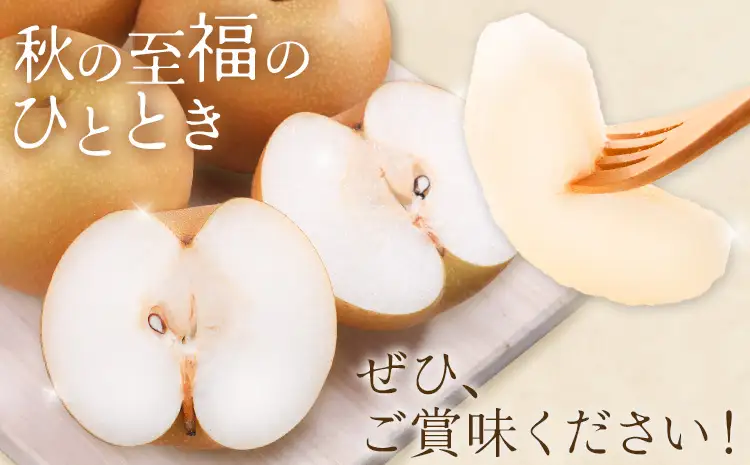 先行予約 あきづき梨 約2kg 梨 