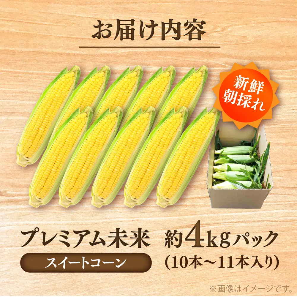 スイートコーン(プレミアム味来) 約4kg スイートコーン[BHCJ004]