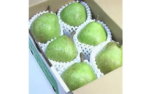 【2026年8月発送開始】至高のフルーツ！山形県産旬のフルーツちょっとずつ食べ比べ定期便B 全4回 F4A-1031