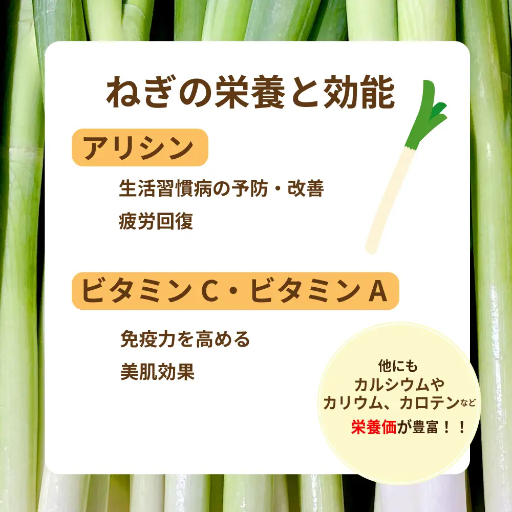 《先行予約》【全3回定期便】泥付き長ネギ 約5kg 1箱 | 訳あり 野菜 やさい 食品 人気 おすすめ 送料無料 ねぎ ネギ 葱 長ねぎ お取り寄せ 福島県 新地町 白ねぎ 鍋 冷凍保存 おかず お徳用 甘い おすそわけ 家庭用 贈答用