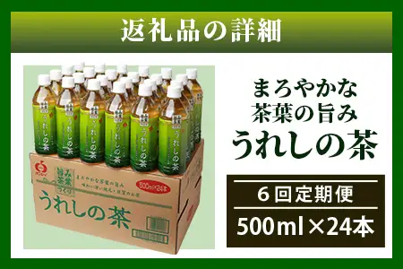 工場直送！うれしの茶 500ml×24本入 《6回 定期便》箱買い セット お茶 飲料 緑茶 飲み切りサイズ うれしの 嬉野茶 ペットボトル 24本入り 500ml ストック ギフト 贈り物 贈答 お中元 お歳暮 季節の変わり目 旬 備蓄 備え 佐賀県 鹿島市 J-35