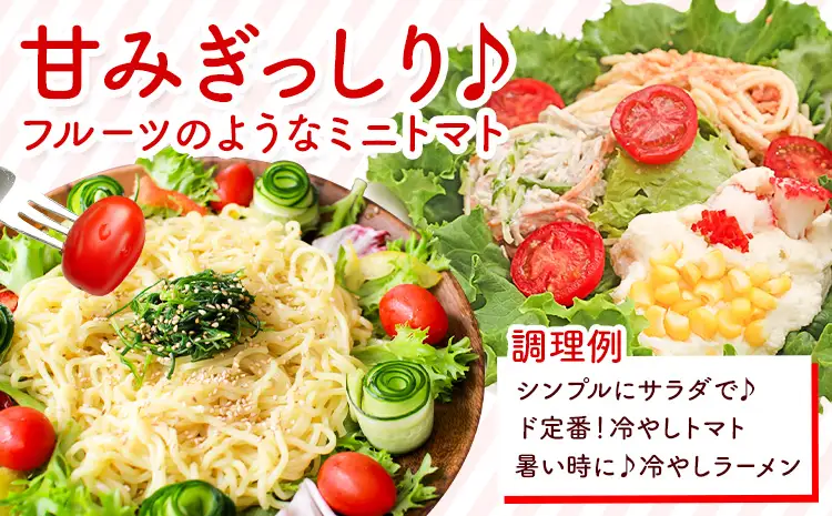 ミニトマト キャロルスター 約2kg ますだふぁーむ《7月上旬-11月末頃出荷》熊本県 南阿蘇村 キャロルスター 野菜 旬 夏野菜 トマト