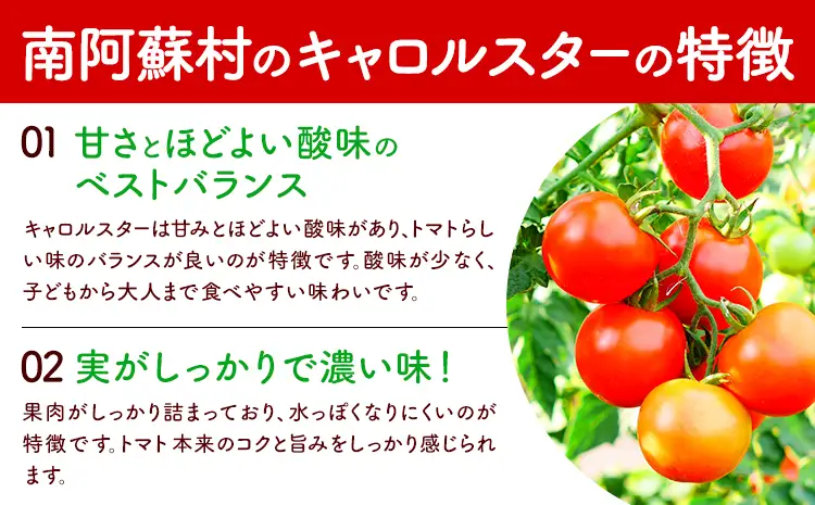 ミニトマト アイコ＆キャロルスター 約2kg ますだふぁーむ《7月上旬-11月末頃出荷》熊本県 南阿蘇村 アイコトマト キャロルスター 野菜 旬 夏野菜 トマト